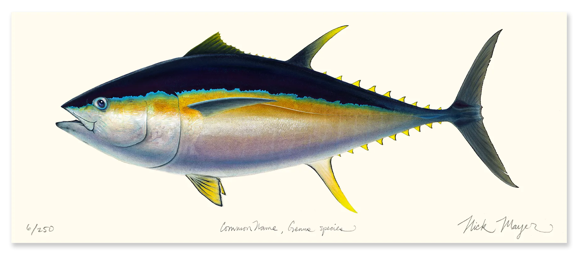 Bigeye Tuna Masterwork Canvas