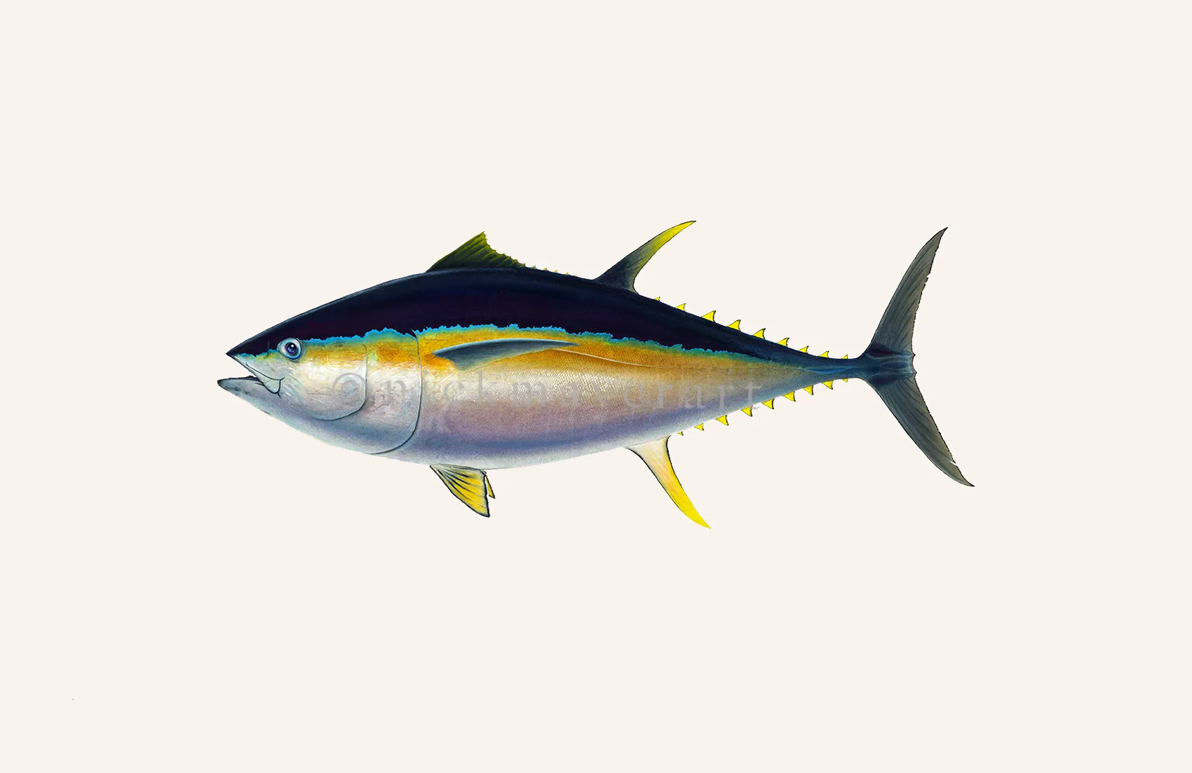 Bigeye Tuna Masterwork Canvas