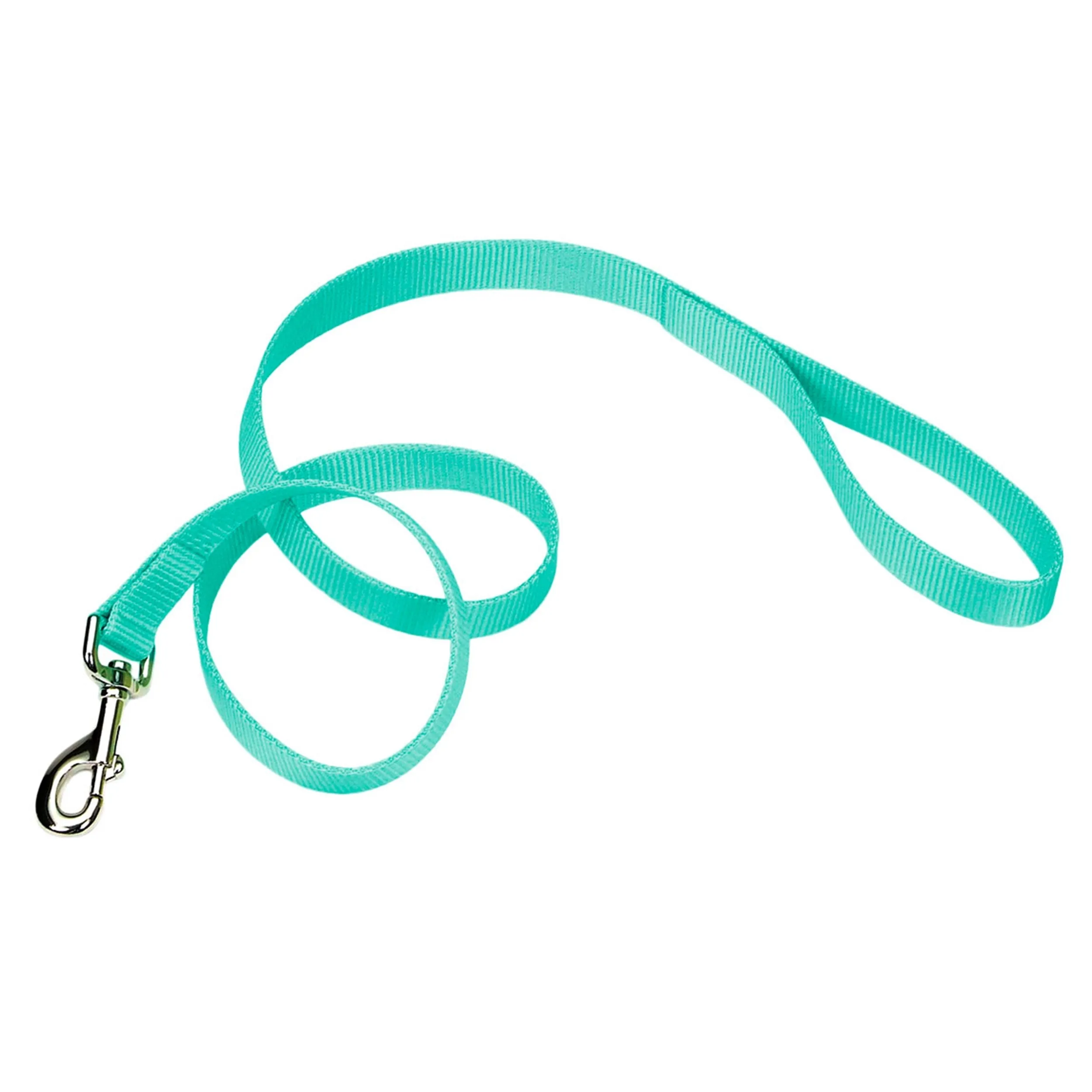 Coastal Single-Ply Dog Leash, Teal 5/8 x 6'