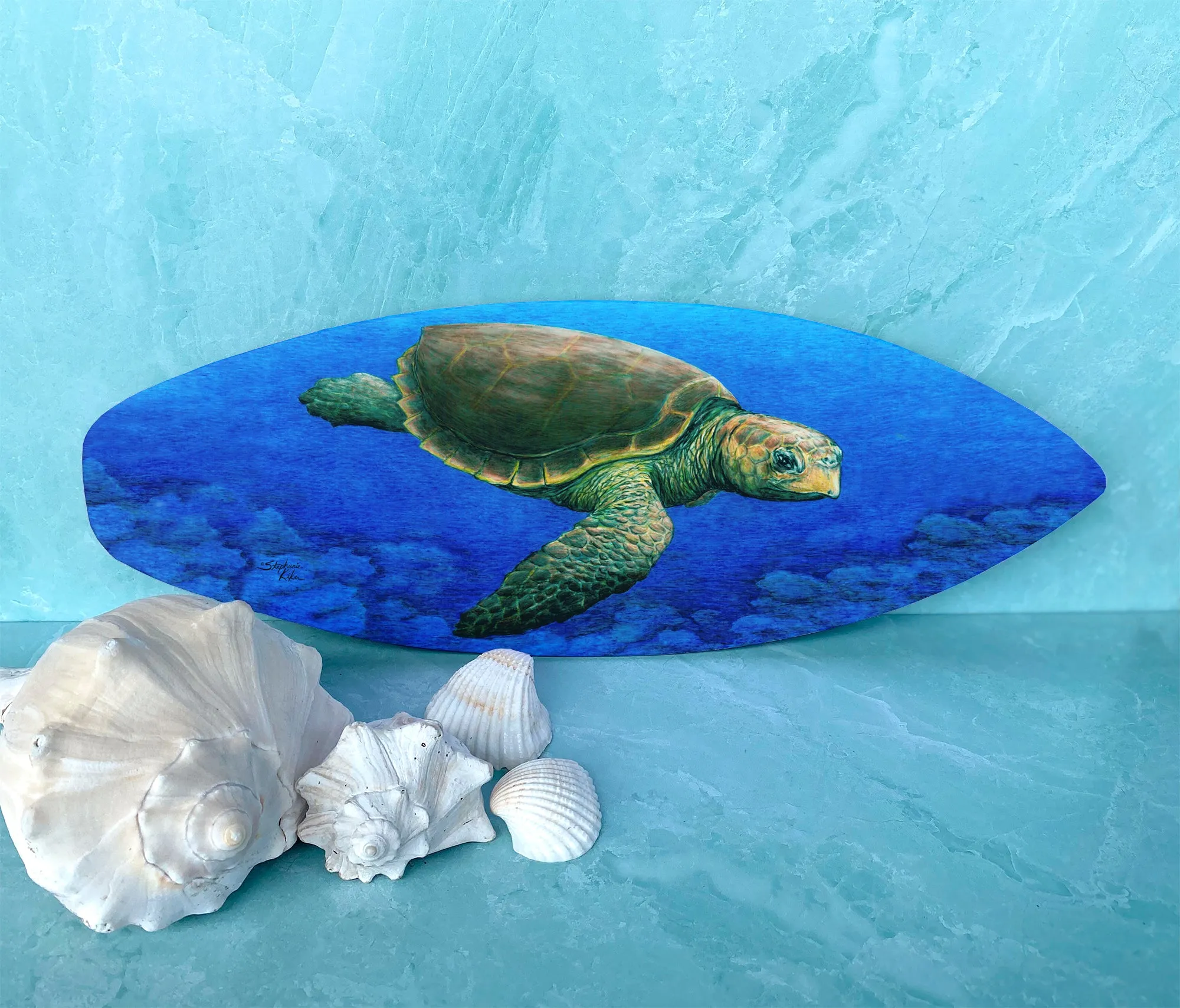 Loggerhead Turtle Surfboard Wall Art