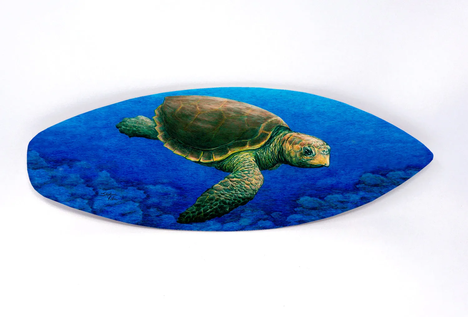 Loggerhead Turtle Surfboard Wall Art