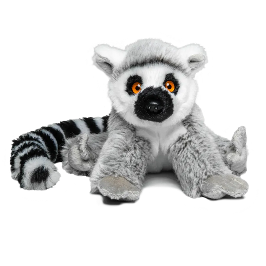 Ring-tailed lemur